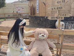 -HERRE·FARM 赫尔露营农场·团建聚会包场