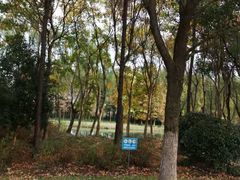 -贡湖湾湿地公园