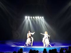 -珠海横琴长隆《卡卡虎奇遇记》