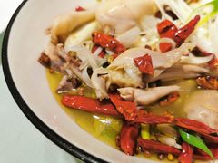 椒麻鸡-春暖花开(西溪店)