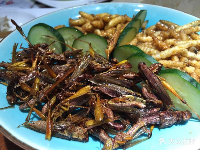 云中鱼云南蒸汽石锅鱼(浦东食品城店)-虫子拼盘-菜-虫子拼盘图片-上海