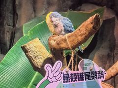 -正佳雨林生态植物园