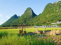 -万峰林风景区