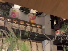 -桂满陇·海市蜃楼·黑金(国金店)