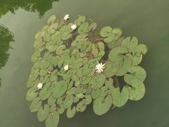 -苏州太湖国家湿地公园