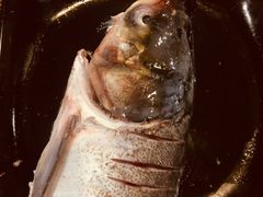 -销魂美蛙鱼头火锅(上海首店)