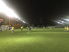 -八万人体育馆-外场足球场