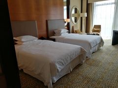 -济南喜来登酒店