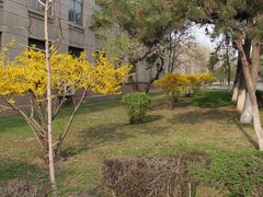 -辽宁大学(崇山校区)