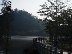 -顺峰山公园