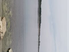 -丁香湖公园