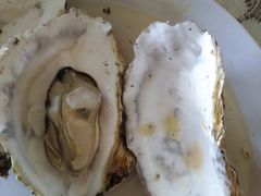 -东戴河风景区-止锚湾