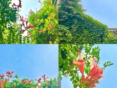 -回龙窝历史文化街区