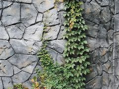 -中华郡文化旅游景区