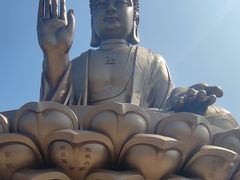 -龙口南山旅游景区