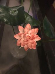 点击看大图 -诗泥SPA