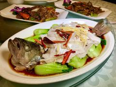 招财鲈鱼-宝发园名菜馆