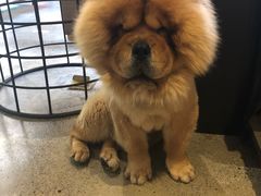 -看见远方·莫干遥远的山民宿