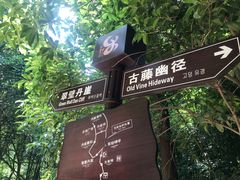 -洪崖丹井