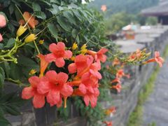-孙武文化园-停车场