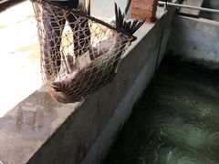 -姥家大锅台水库渔家