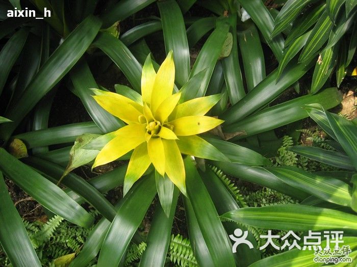 啡留心香上传的图片