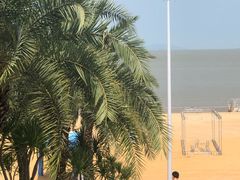 -太平洋咖啡(海滨泳场店)