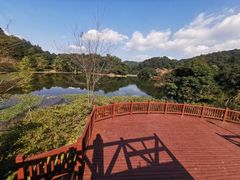 -广州市石门国家森林公园