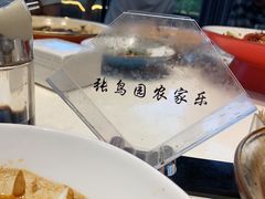 -张鸟园农家乐(张鸟园店)