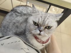 -Oasis绿洲银饰珍珠手作diy(壹方城店)