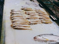 -海南大院(海甸岛店)
