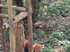 -昆明动物园