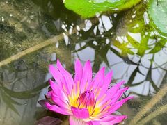 -国家植物园南园