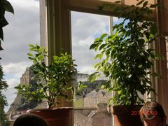 景观位-大象咖啡馆