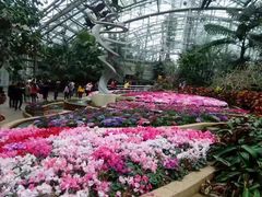 -南山植物园