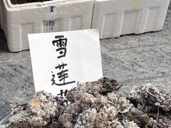 -松州古城
