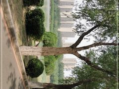 -丁香湖公园