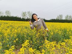 -汉长安城未央宫国家考古遗址公园