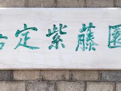 -嘉定紫藤园
