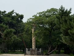 -北陵公园