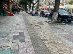 -枫泾丁氏烧卖(枫丽路店)