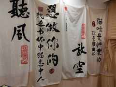 -楼上猫咖(罗湖店)