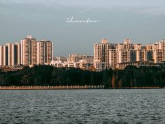 -海珠湖公园