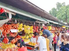 -大湾区中央湿地公园