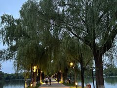 -北陵公园