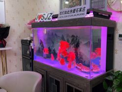 -安院长·产后恢复·徒手骨盆(先天下店)