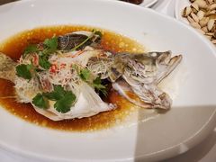 -沸腾鱼乡(知春路分店)