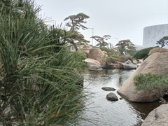 -罗红摄影艺术馆