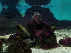 -北戴河圣蓝海洋公园