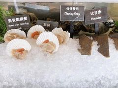 -济南凯宾斯基酒店-THE VIEW云景全日制餐厅